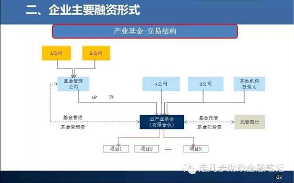 松树花粉亚洲国产精品成av人不卡无码，自然的秘密，生命的启示